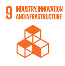 No 9: industry, innovation, and infrastructure