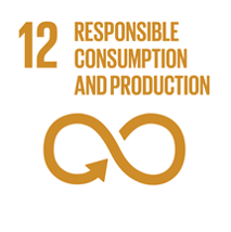 No 12: responsible consumption and production
