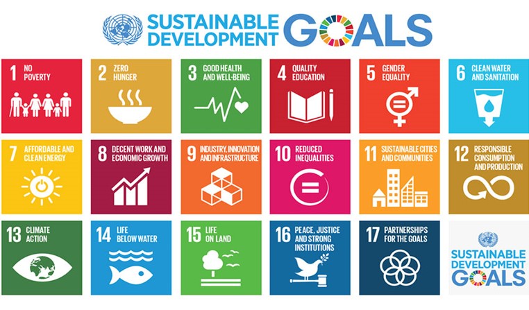 Sustainable development goals